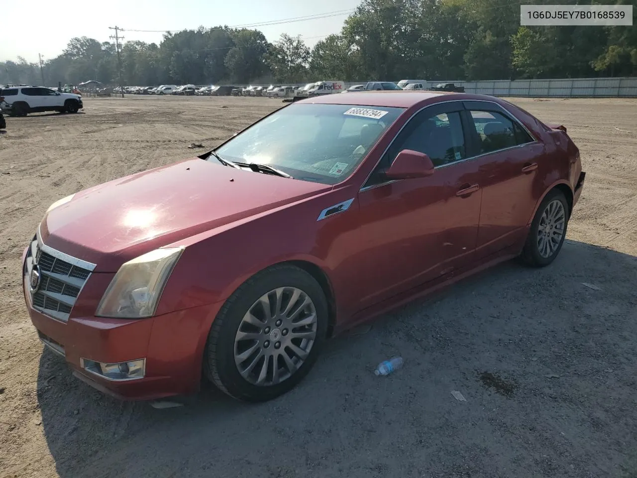 1G6DJ5EY7B0168539 2011 Cadillac Cts Performance Collection