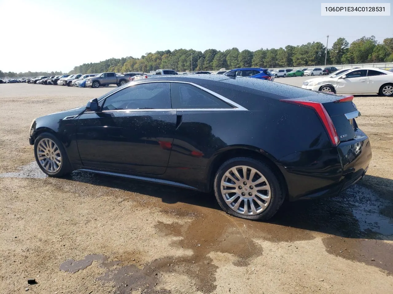 2012 Cadillac Cts Premium Collection VIN: 1G6DP1E34C0128531 Lot: 74991654