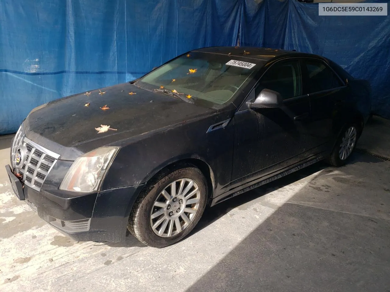 2012 Cadillac Cts VIN: 1G6DC5E59C0143269 Lot: 75745004