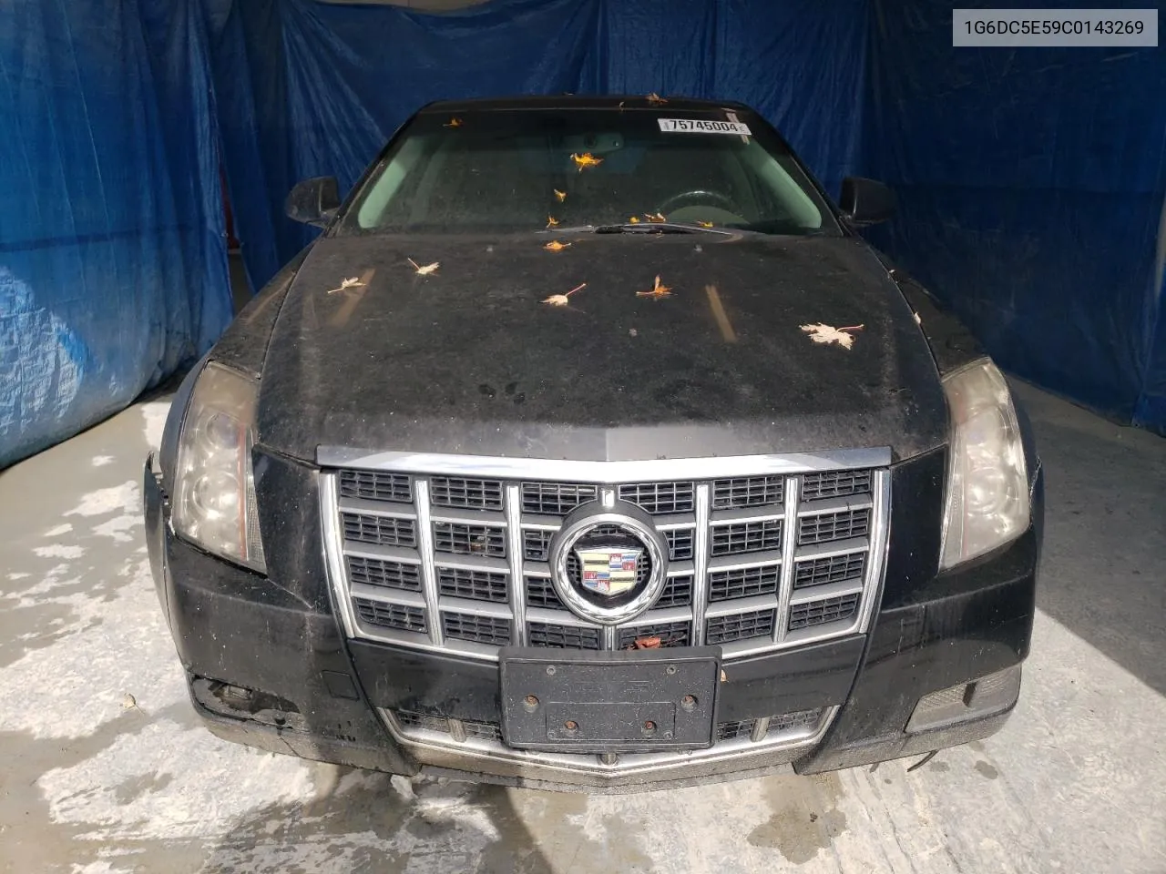 2012 Cadillac Cts VIN: 1G6DC5E59C0143269 Lot: 75745004