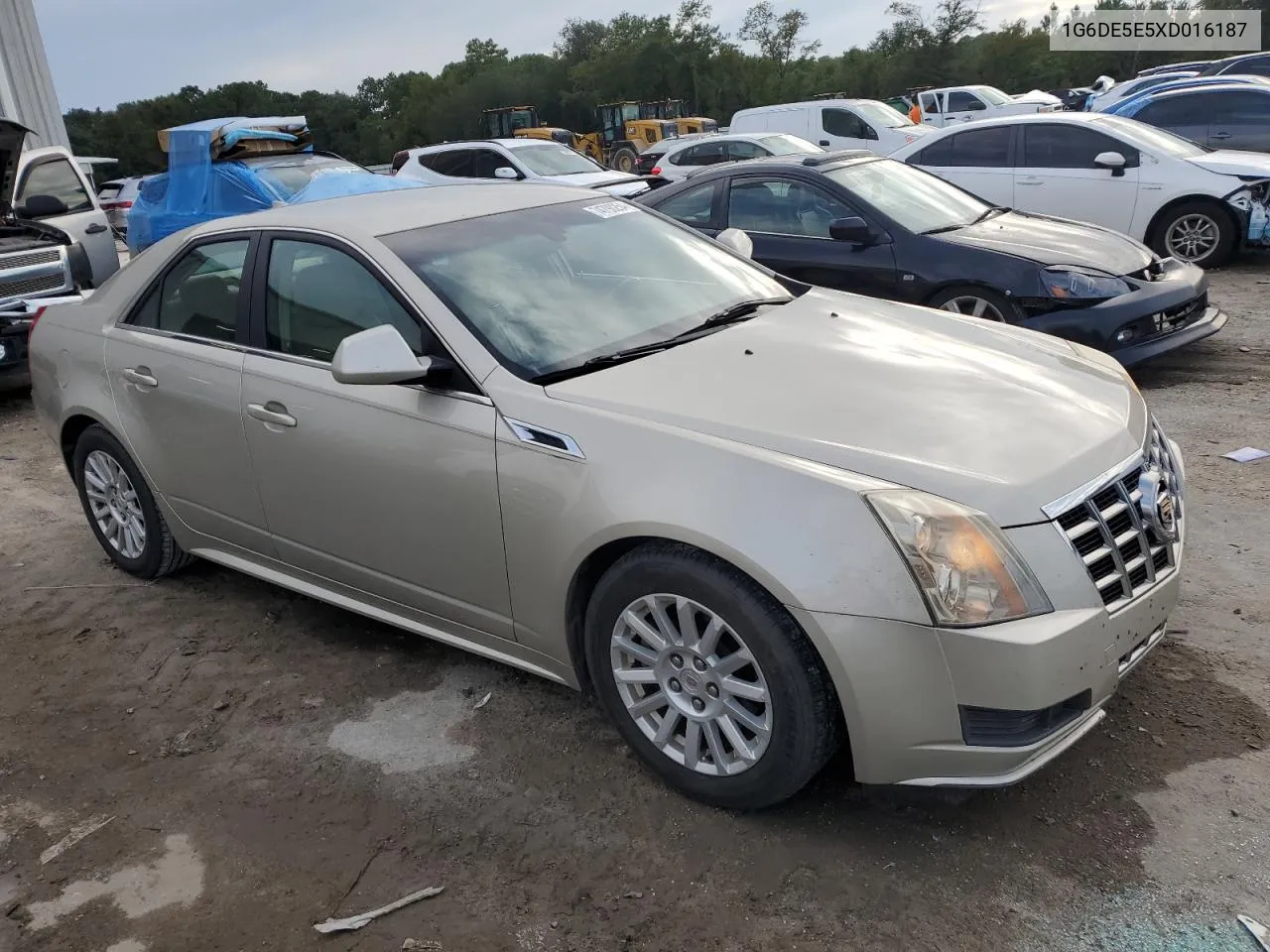 2013 Cadillac Cts Luxury Collection VIN: 1G6DE5E5XD016187 Lot: 74790254