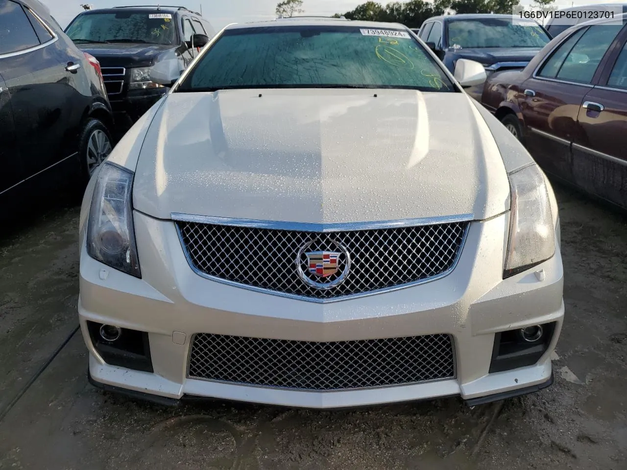 2014 Cadillac Cts-V VIN: 1G6DV1EP6E0123701 Lot: 73948924