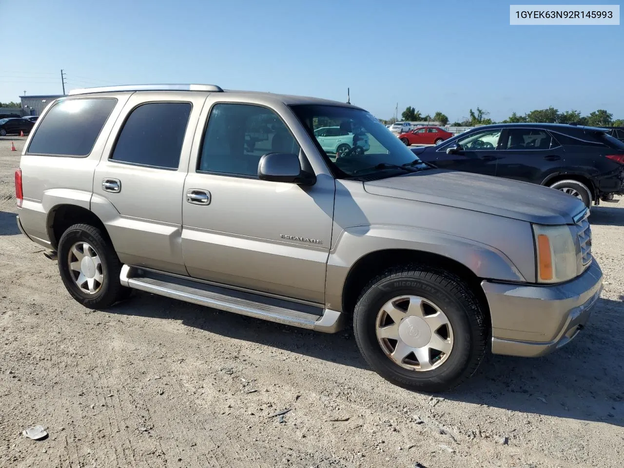 2002 Cadillac Escalade Luxury VIN: 1GYEK63N92R145993 Lot: 61611914