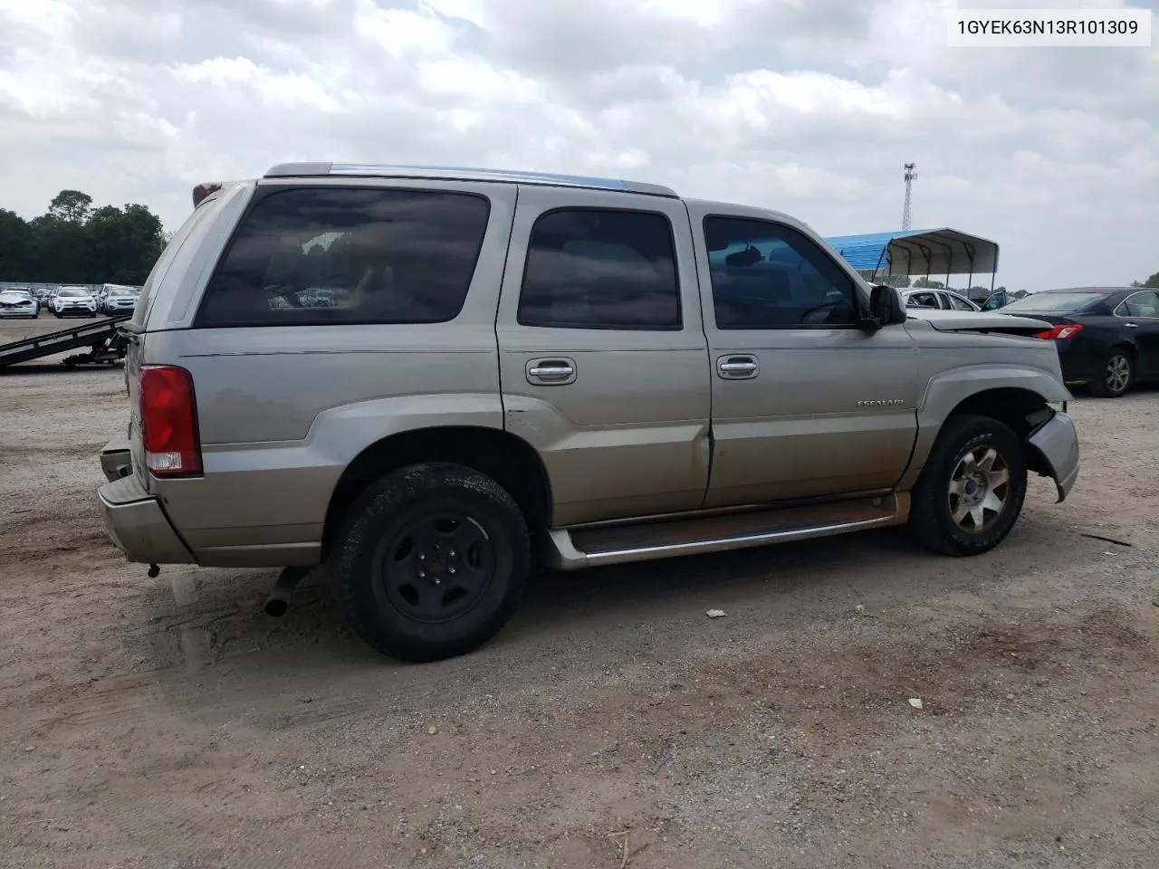 2003 Cadillac Escalade Luxury VIN: 1GYEK63N13R101309 Lot: 66696954