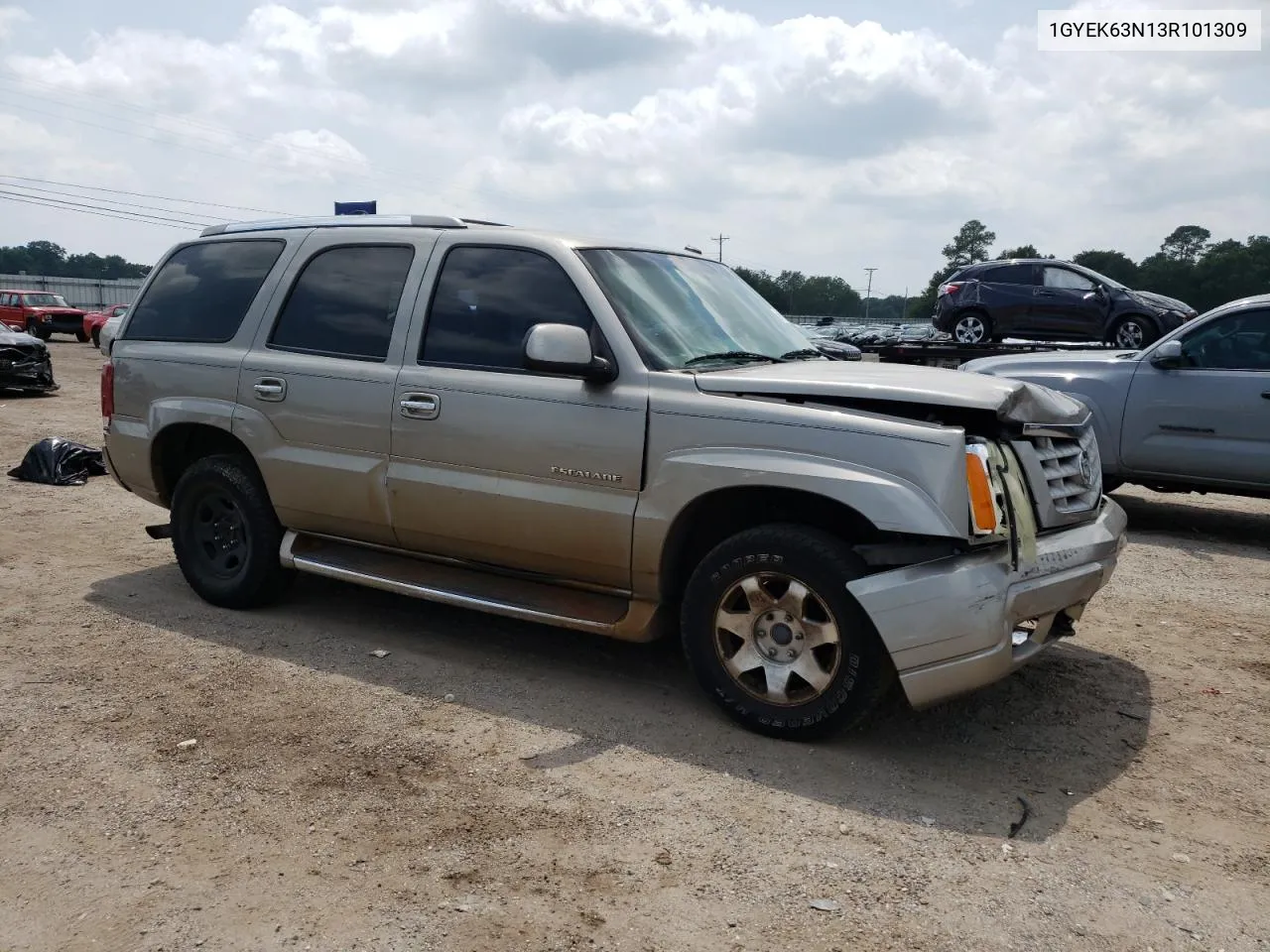 2003 Cadillac Escalade Luxury VIN: 1GYEK63N13R101309 Lot: 66696954