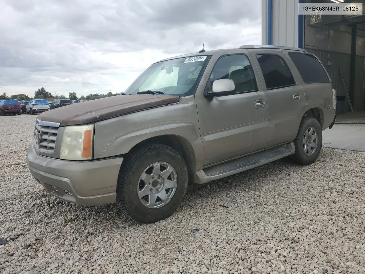 2003 Cadillac Escalade Luxury VIN: 1GYEK63N43R108125 Lot: 68920504