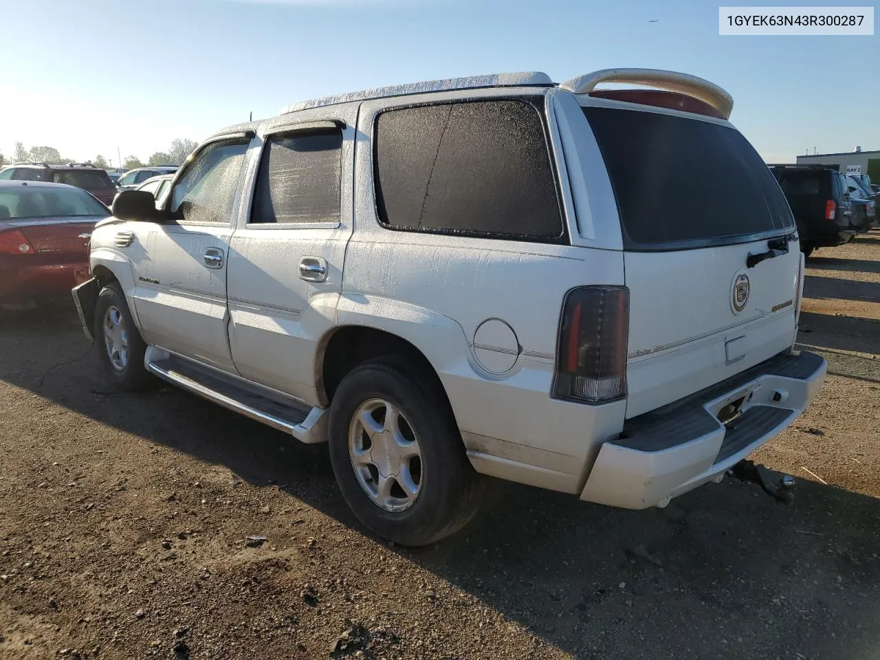 2003 Cadillac Escalade Luxury VIN: 1GYEK63N43R300287 Lot: 72618094