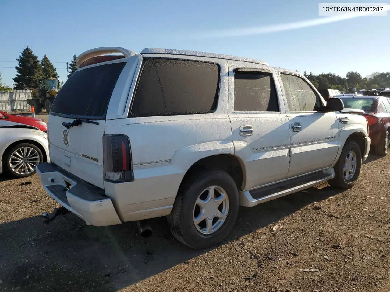 2003 Cadillac Escalade Luxury VIN: 1GYEK63N43R300287 Lot: 72618094