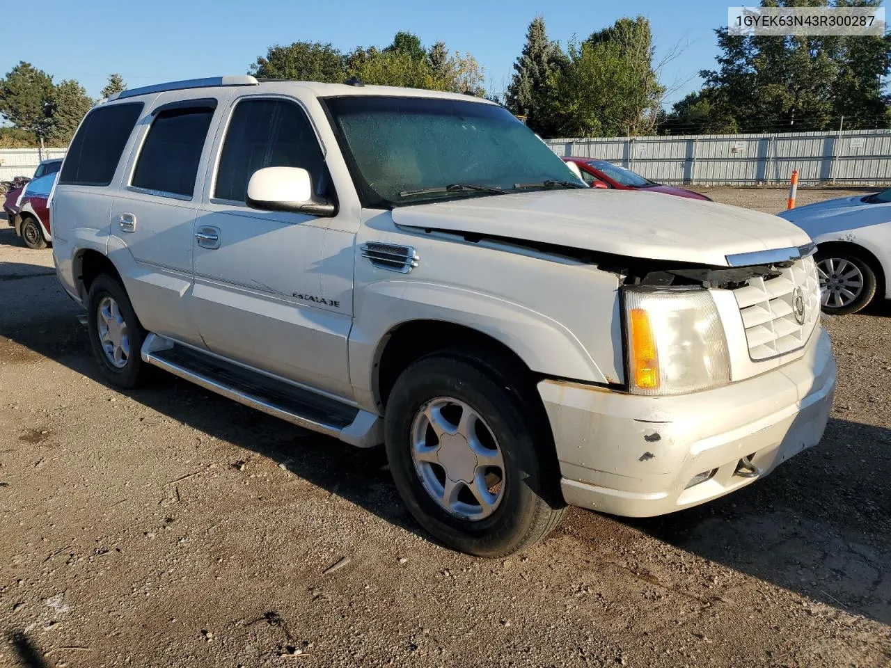 2003 Cadillac Escalade Luxury VIN: 1GYEK63N43R300287 Lot: 72618094