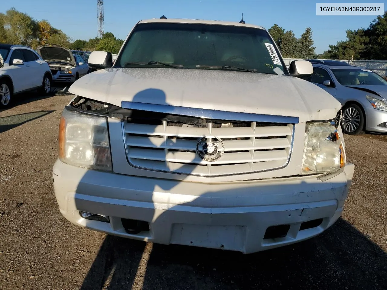 2003 Cadillac Escalade Luxury VIN: 1GYEK63N43R300287 Lot: 72618094