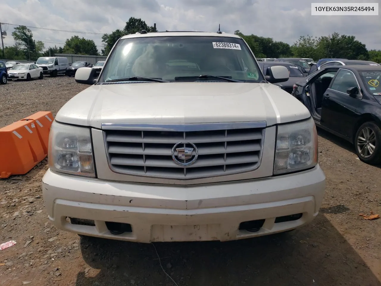 2005 Cadillac Escalade Luxury VIN: 1GYEK63N35R245494 Lot: 62389314