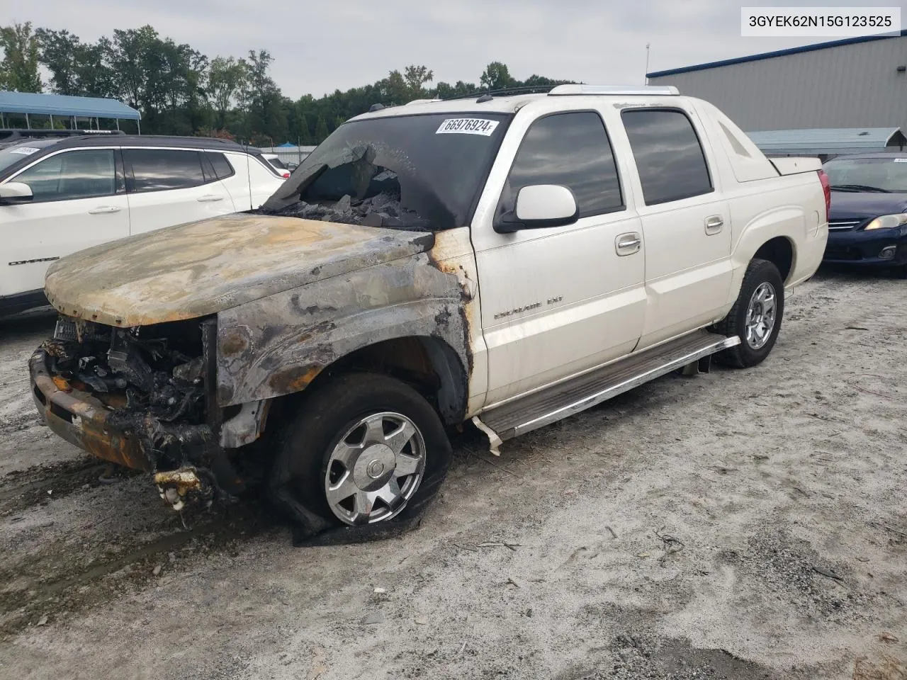 2005 Cadillac Escalade Ext VIN: 3GYEK62N15G123525 Lot: 66976924