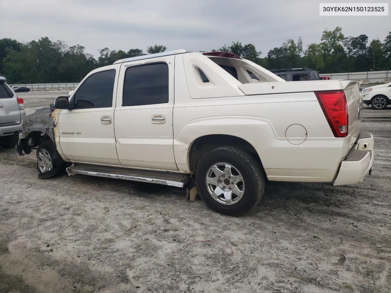 2005 Cadillac Escalade Ext VIN: 3GYEK62N15G123525 Lot: 66976924