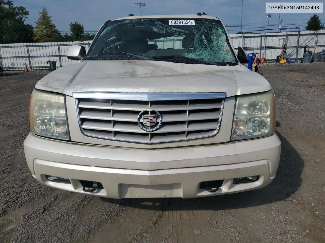 2005 Cadillac Escalade Luxury VIN: 1GYEK63N15R142493 Lot: 69391354