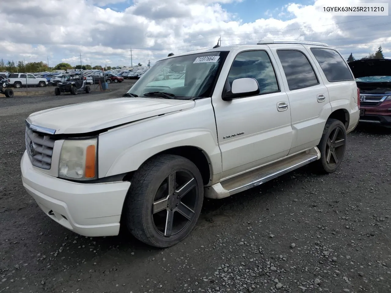 2005 Cadillac Escalade Luxury VIN: 1GYEK63N25R211210 Lot: 71597664