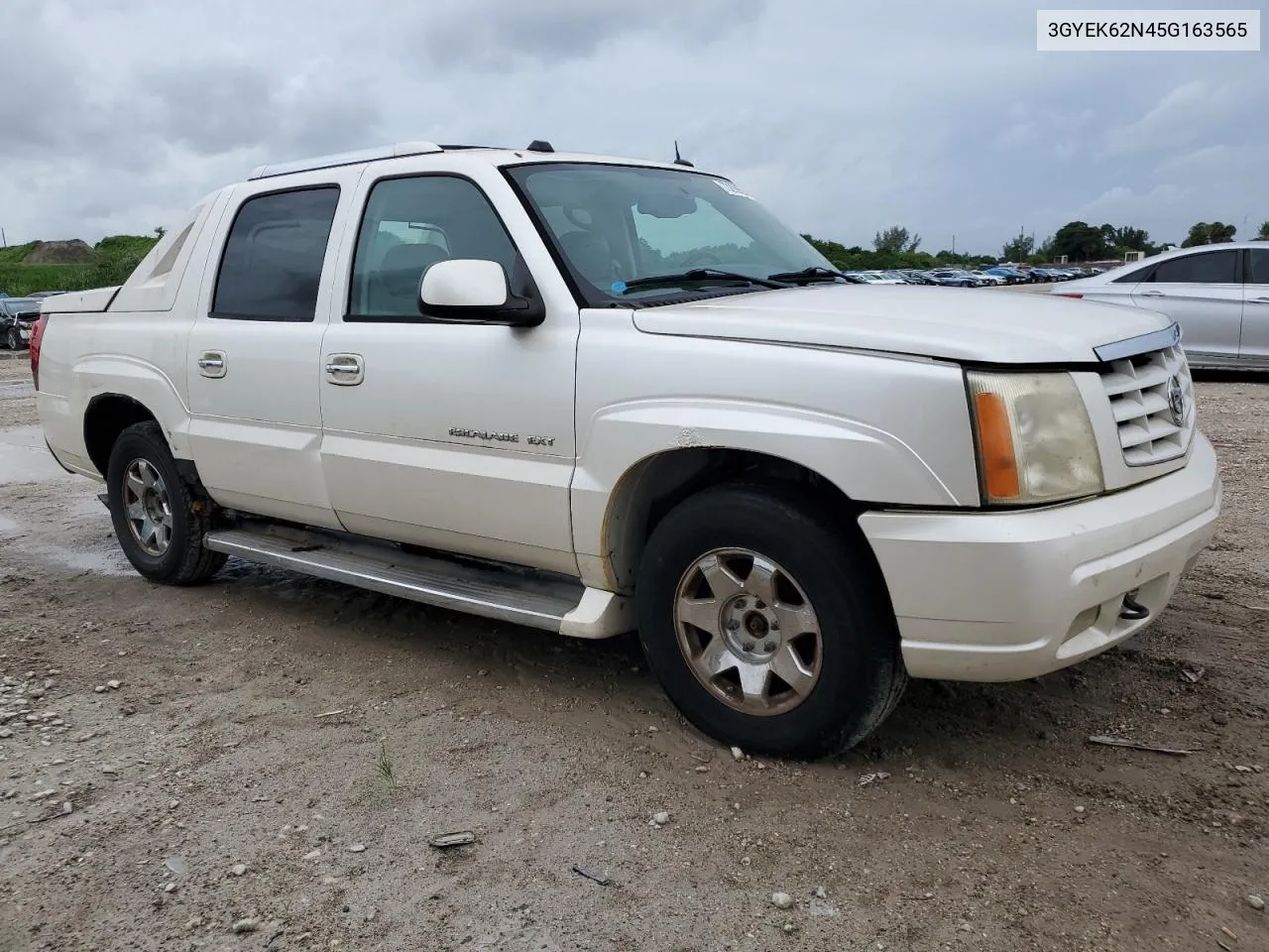 2005 Cadillac Escalade Ext VIN: 3GYEK62N45G163565 Lot: 73290294