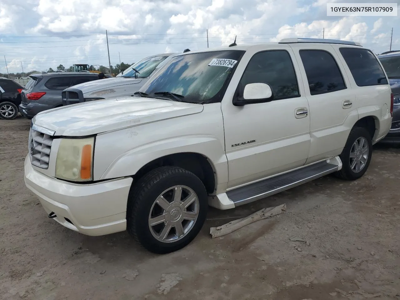 2005 Cadillac Escalade Luxury VIN: 1GYEK63N75R107909 Lot: 73826794