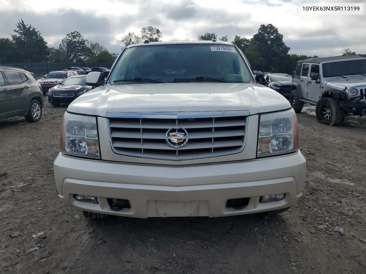 2005 Cadillac Escalade Luxury VIN: 1GYEK63NX5R113199 Lot: 73919404