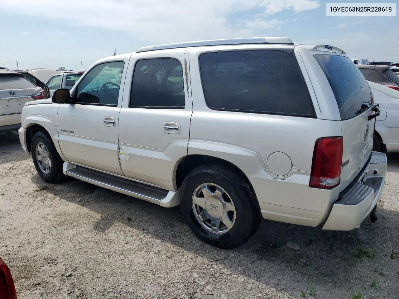 2005 Cadillac Escalade Luxury VIN: 1GYEC63N25R228618 Lot: 73962774