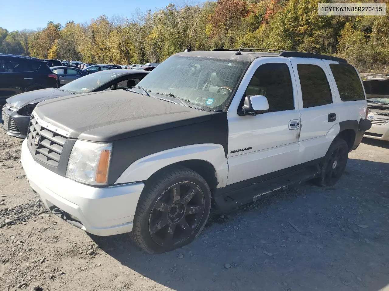 2005 Cadillac Escalade Luxury VIN: 1GYEK63N85R270455 Lot: 76729954