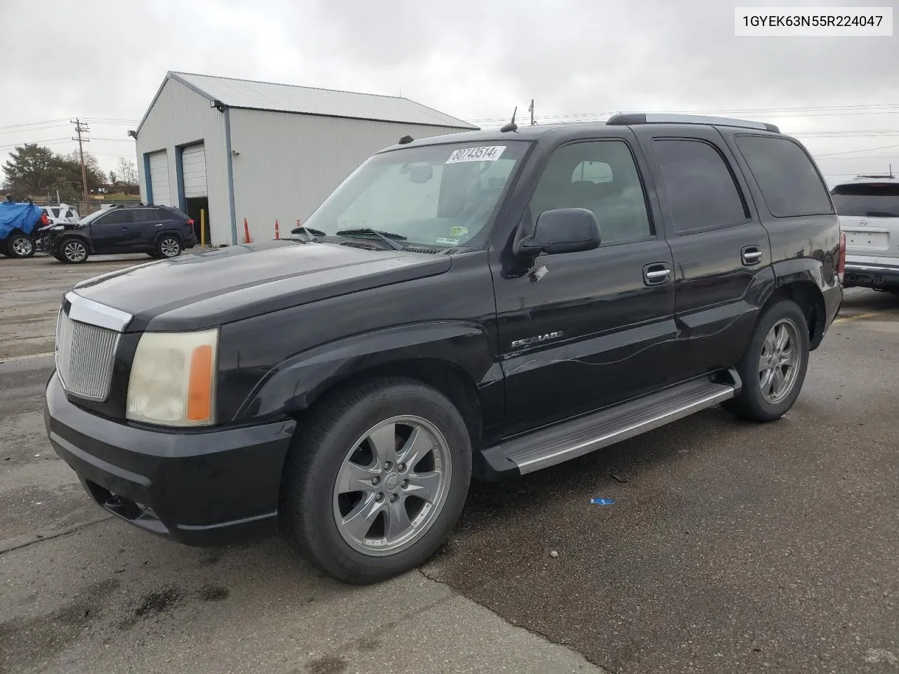 2005 Cadillac Escalade Luxury VIN: 1GYEK63N55R224047 Lot: 80743514