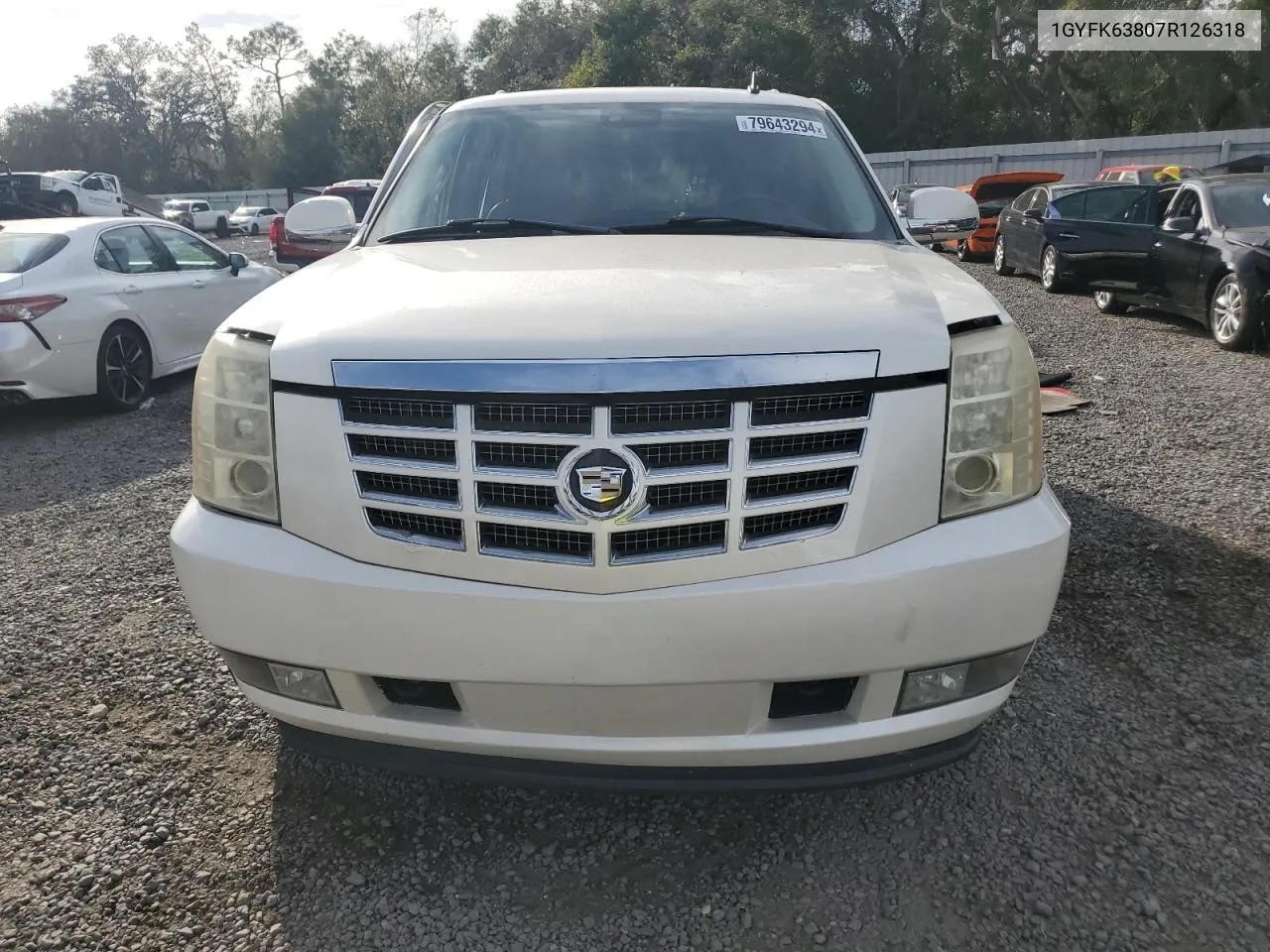 2007 Cadillac Escalade Luxury VIN: 1GYFK63807R126318 Lot: 79643294