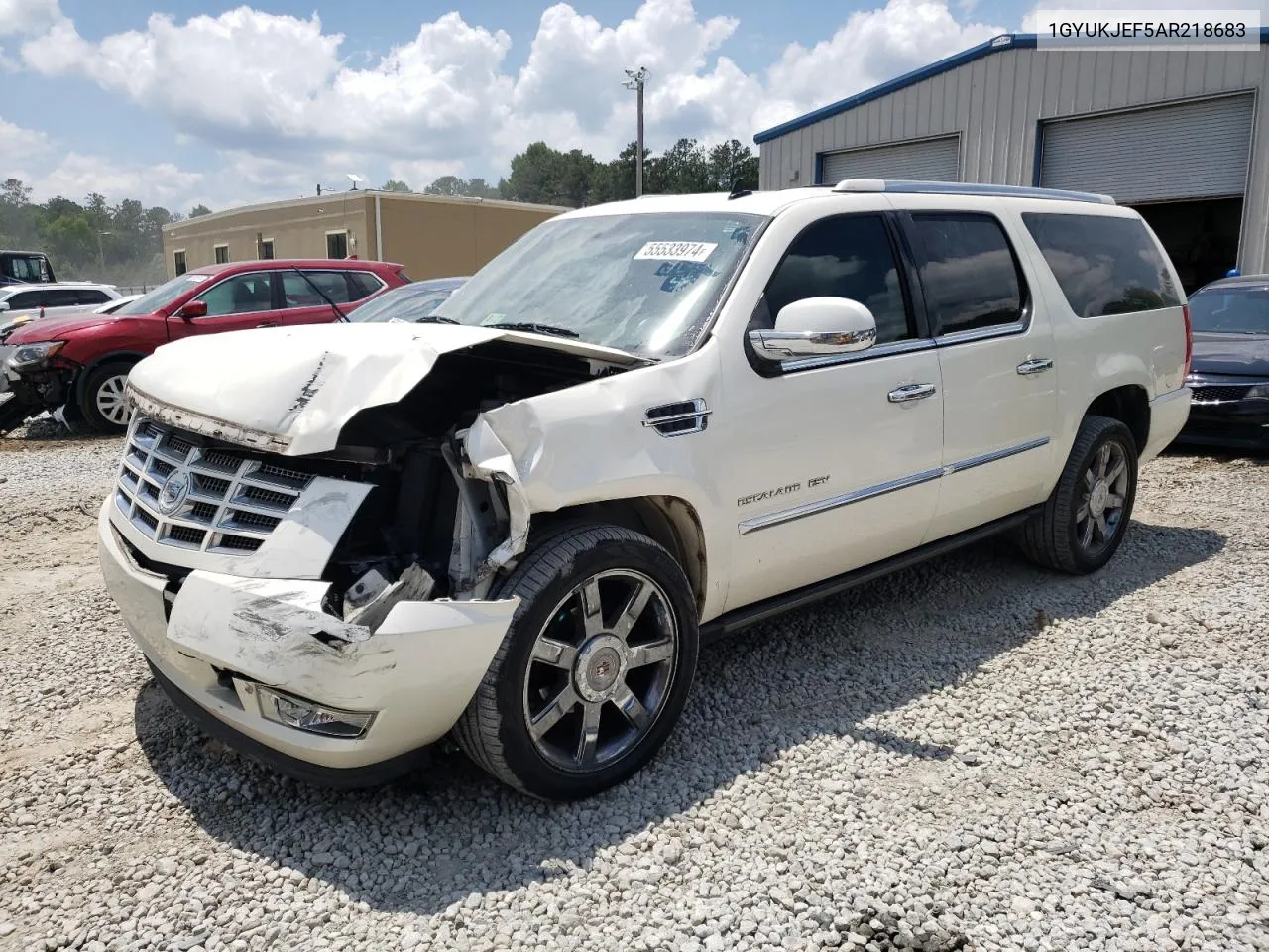 2010 Cadillac Escalade Esv Premium VIN: 1GYUKJEF5AR218683 Lot: 55533974