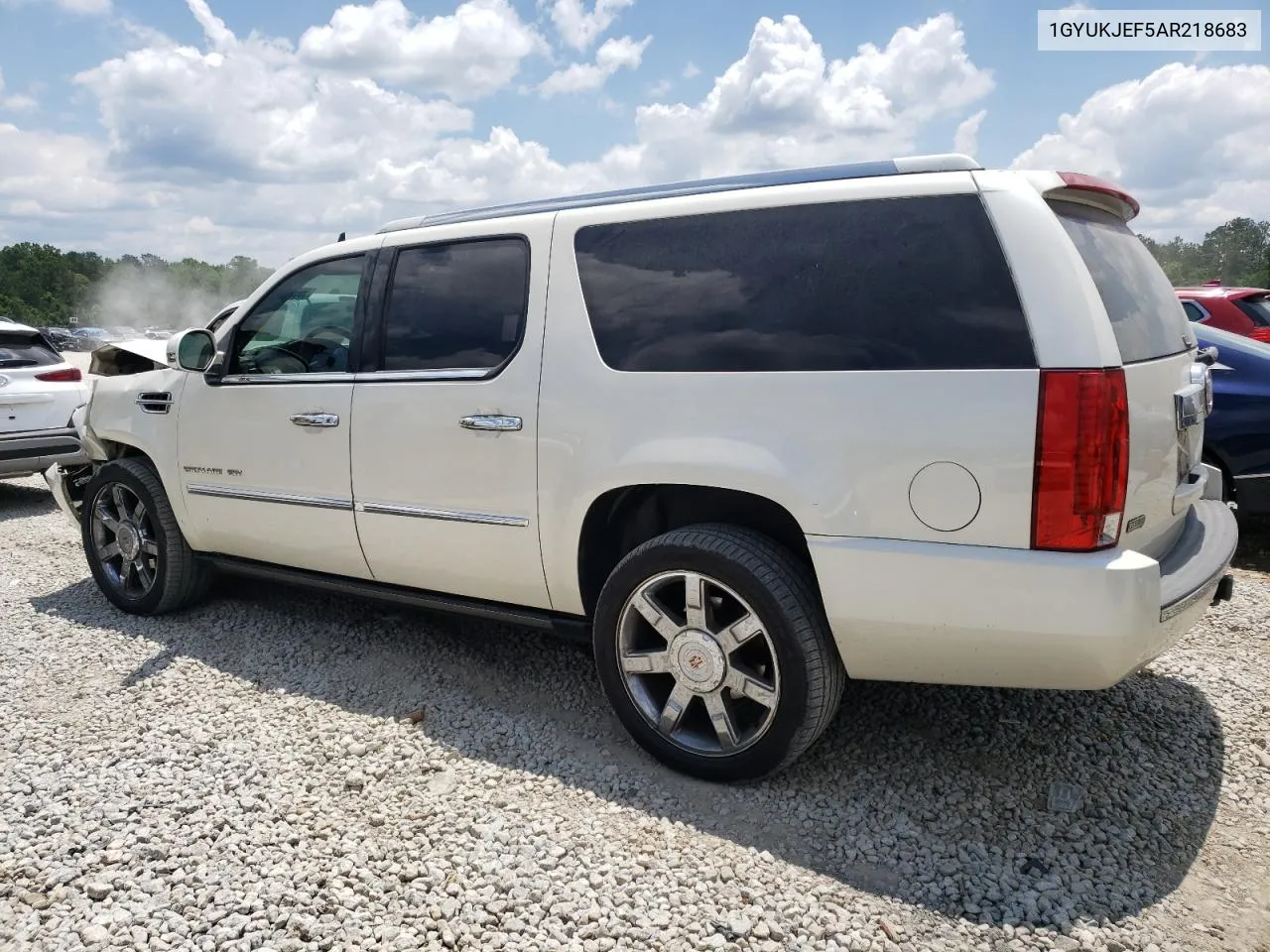 2010 Cadillac Escalade Esv Premium VIN: 1GYUKJEF5AR218683 Lot: 55533974