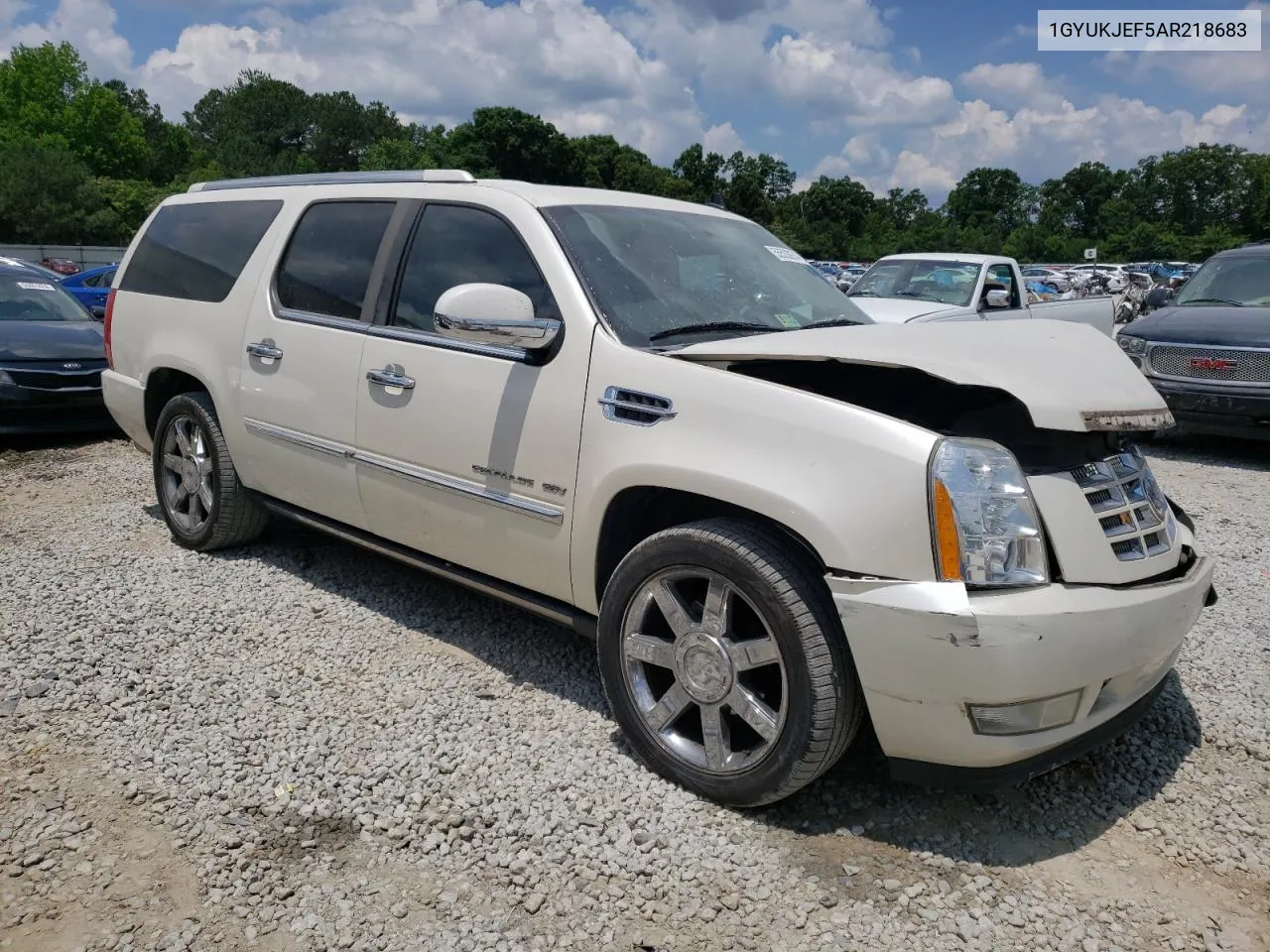 2010 Cadillac Escalade Esv Premium VIN: 1GYUKJEF5AR218683 Lot: 55533974