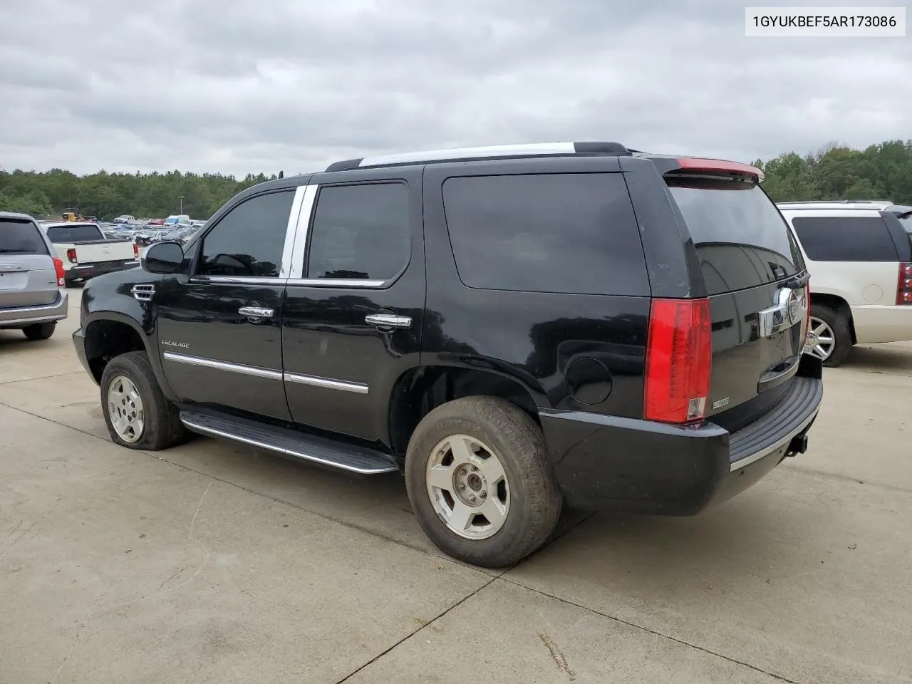 2010 Cadillac Escalade Luxury VIN: 1GYUKBEF5AR173086 Lot: 71632284