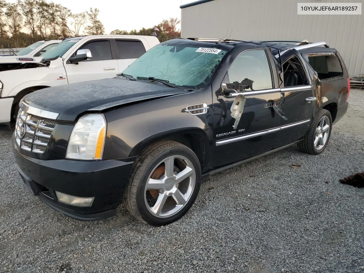 2010 Cadillac Escalade Esv Premium VIN: 1GYUKJEF6AR189257 Lot: 75122554