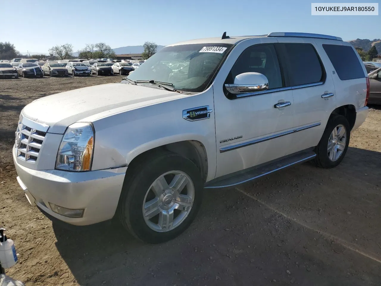 2010 Cadillac Escalade Hybrid VIN: 1GYUKEEJ9AR180550 Lot: 79891334