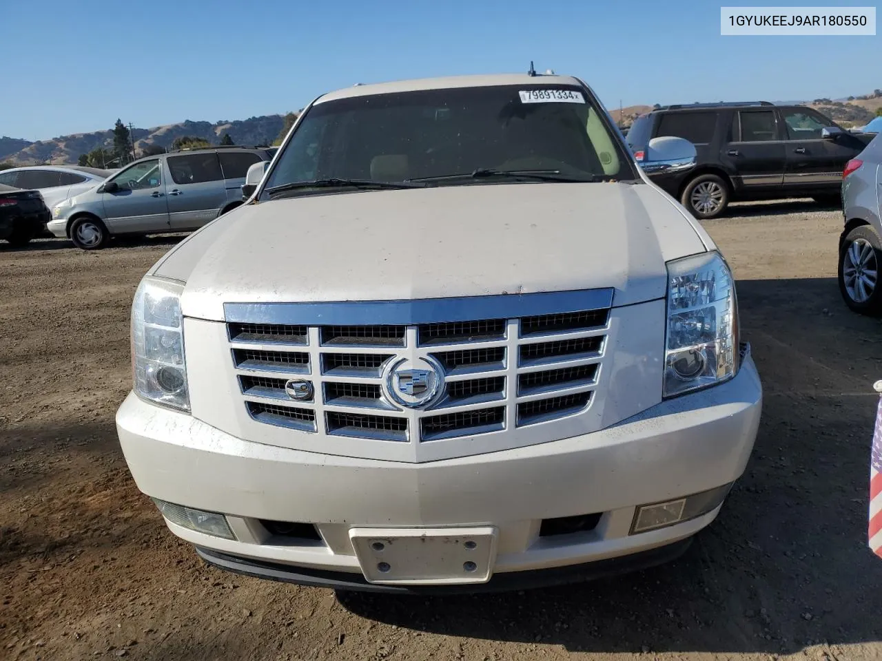 2010 Cadillac Escalade Hybrid VIN: 1GYUKEEJ9AR180550 Lot: 79891334