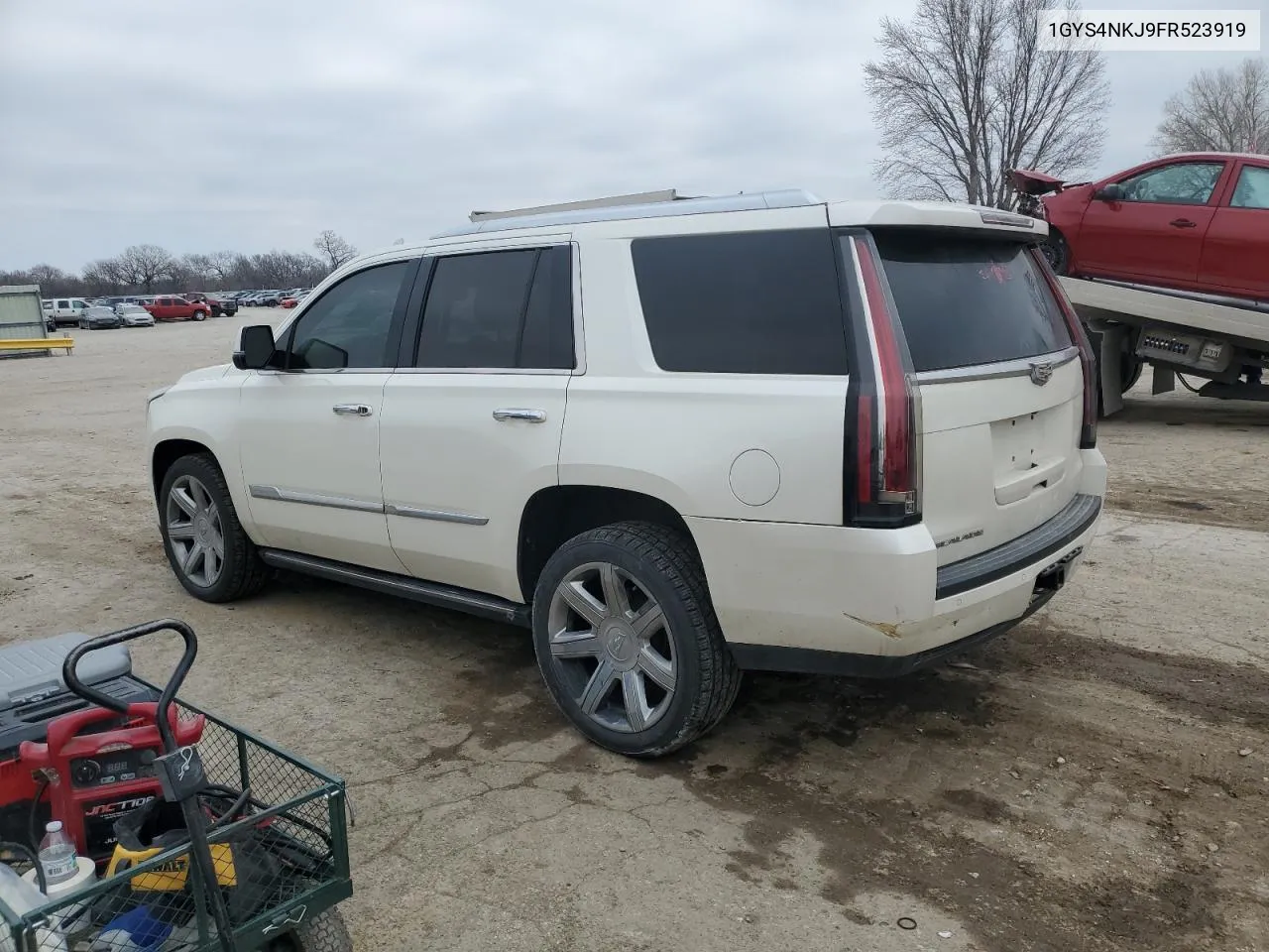 2015 Cadillac Escalade Premium VIN: 1GYS4NKJ9FR523919 Lot: 45256764