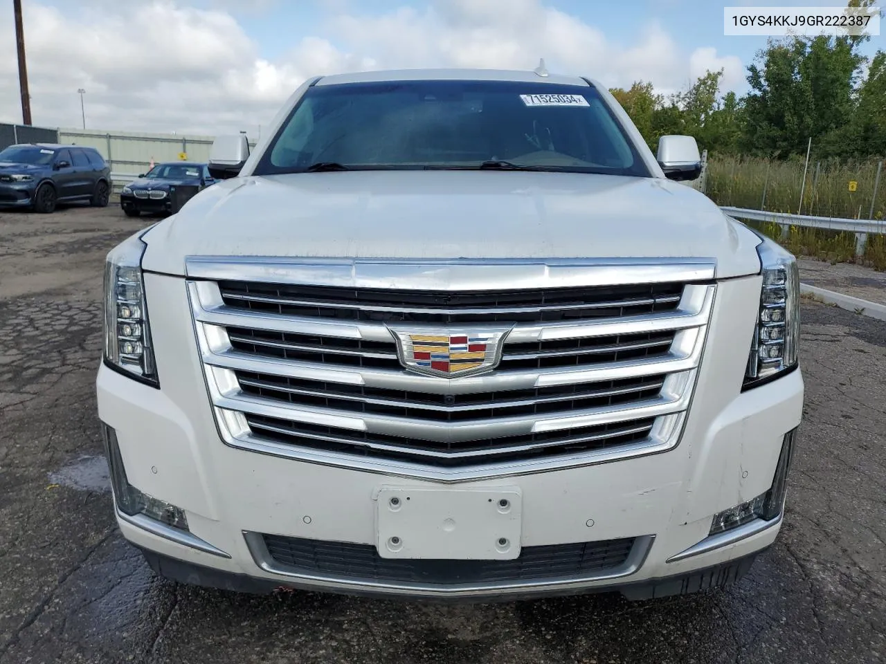 2016 Cadillac Escalade Esv Platinum VIN: 1GYS4KKJ9GR222387 Lot: 71525034