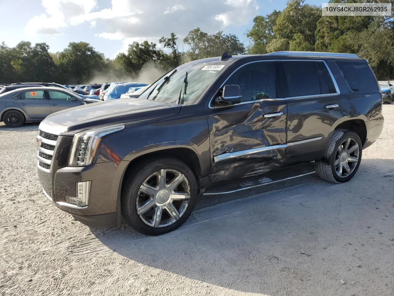 2016 Cadillac Escalade Premium VIN: 1GYS4CKJ8GR262935 Lot: 78841804