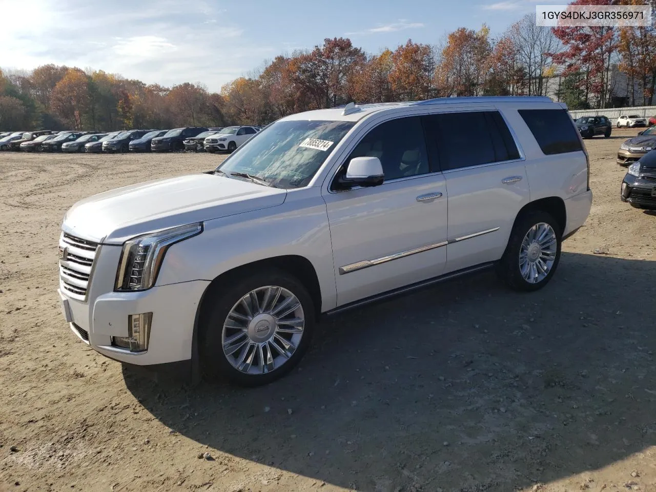 2016 Cadillac Escalade Platinum VIN: 1GYS4DKJ3GR356971 Lot: 78853214