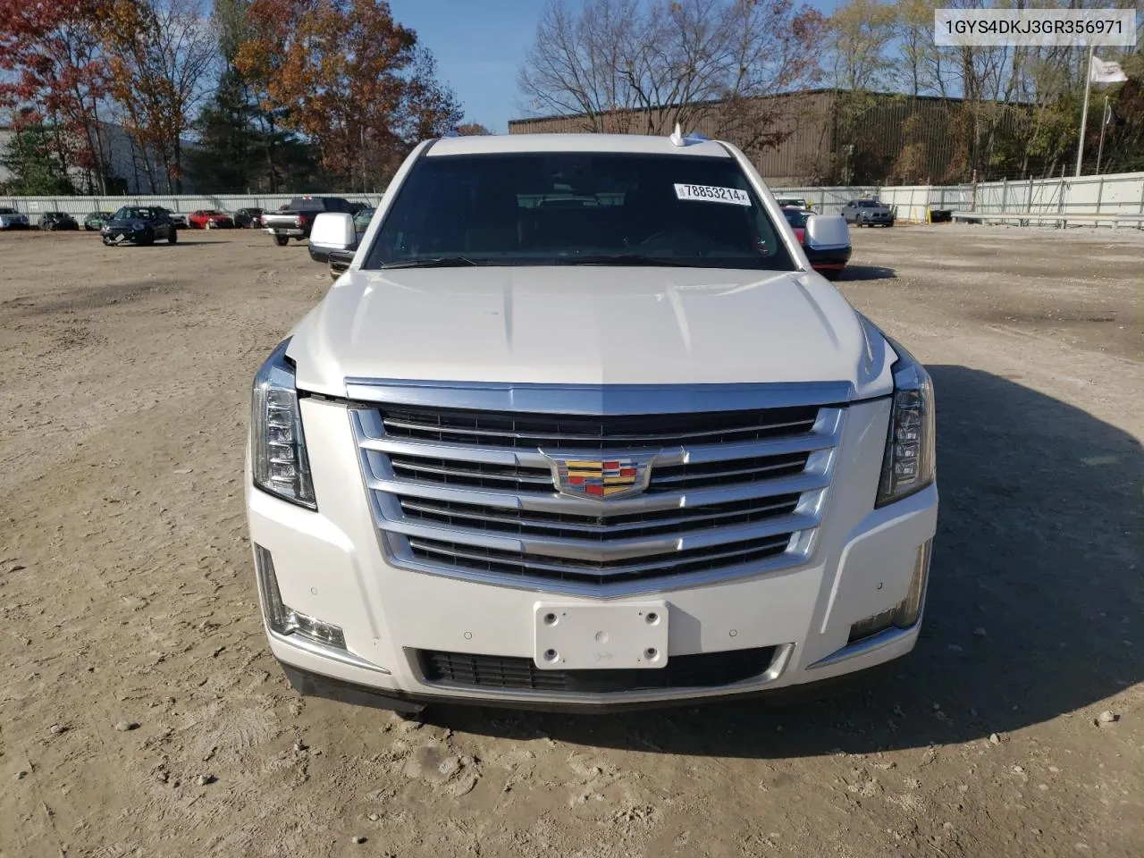 2016 Cadillac Escalade Platinum VIN: 1GYS4DKJ3GR356971 Lot: 78853214