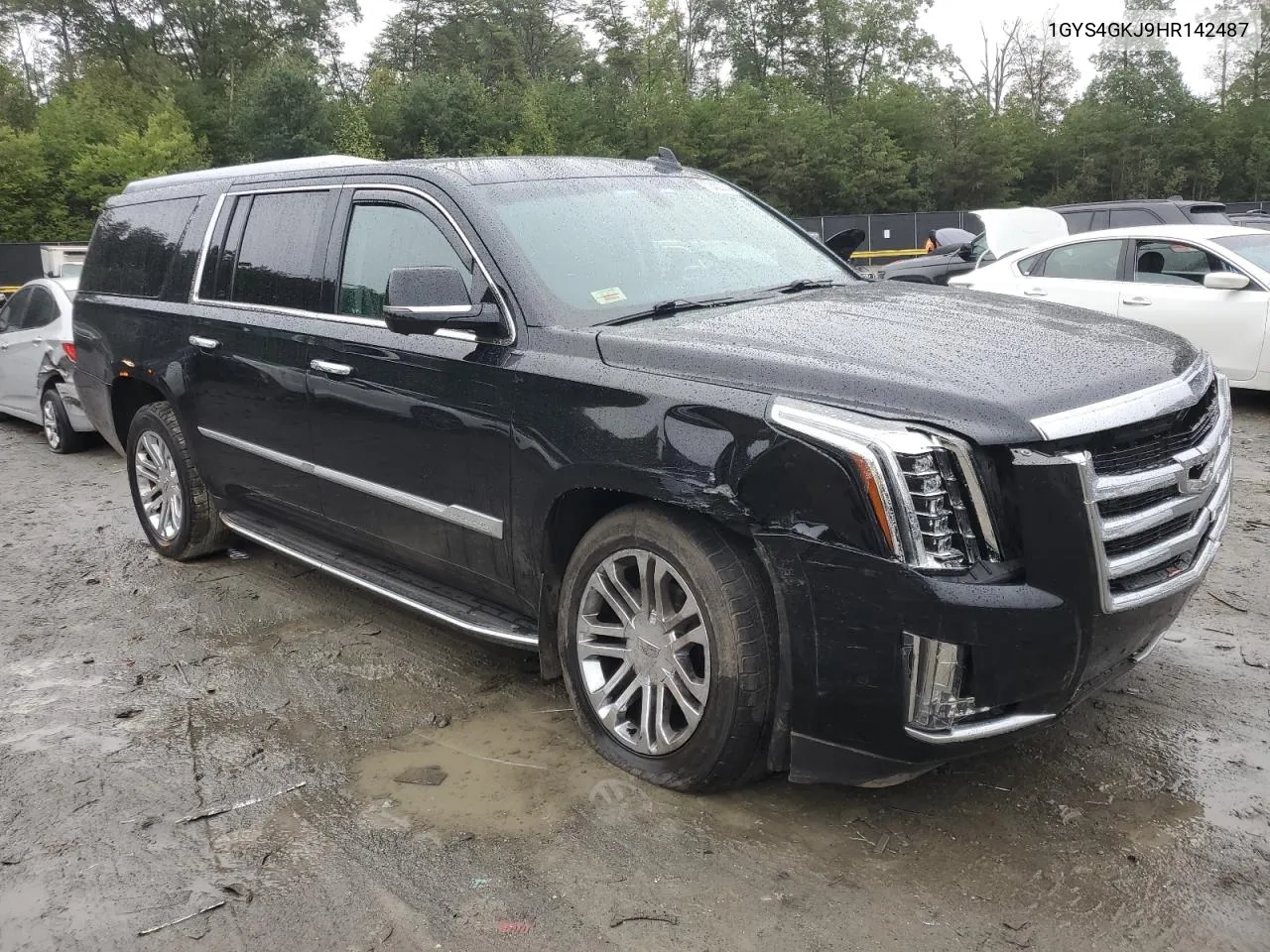 2017 Cadillac Escalade Esv VIN: 1GYS4GKJ9HR142487 Lot: 73407214