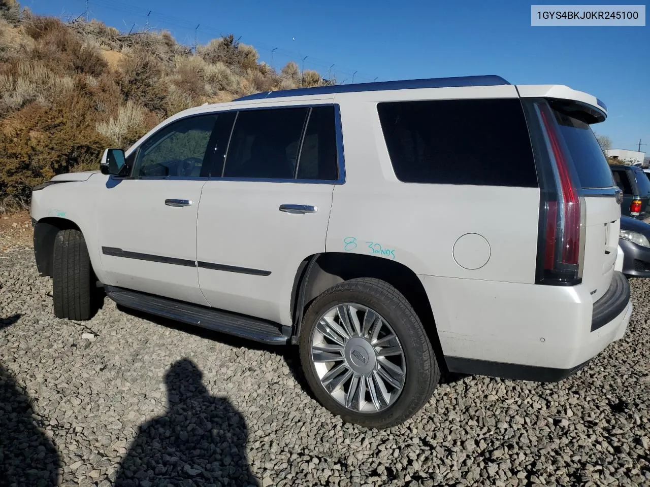 2019 Cadillac Escalade Luxury VIN: 1GYS4BKJ0KR245100 Lot: 74925264