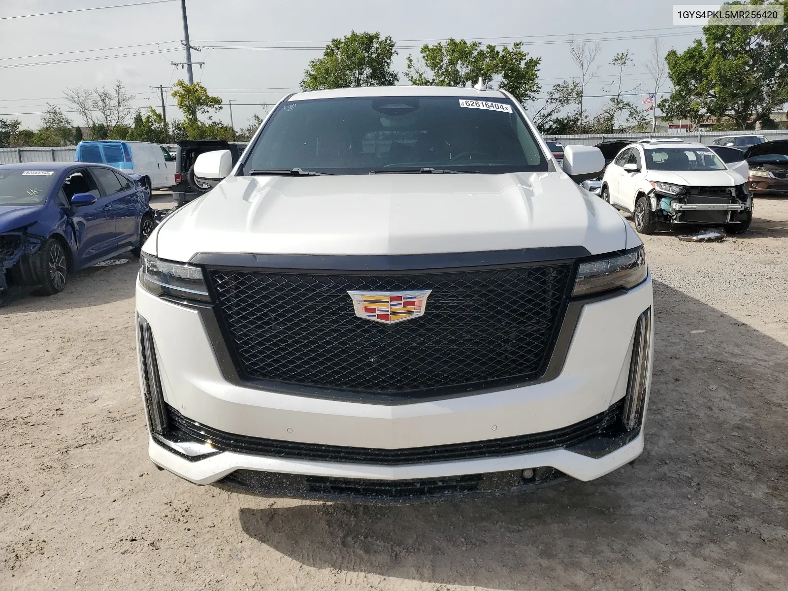 2021 Cadillac Escalade Esv Sport VIN: 1GYS4PKL5MR256420 Lot: 62616404