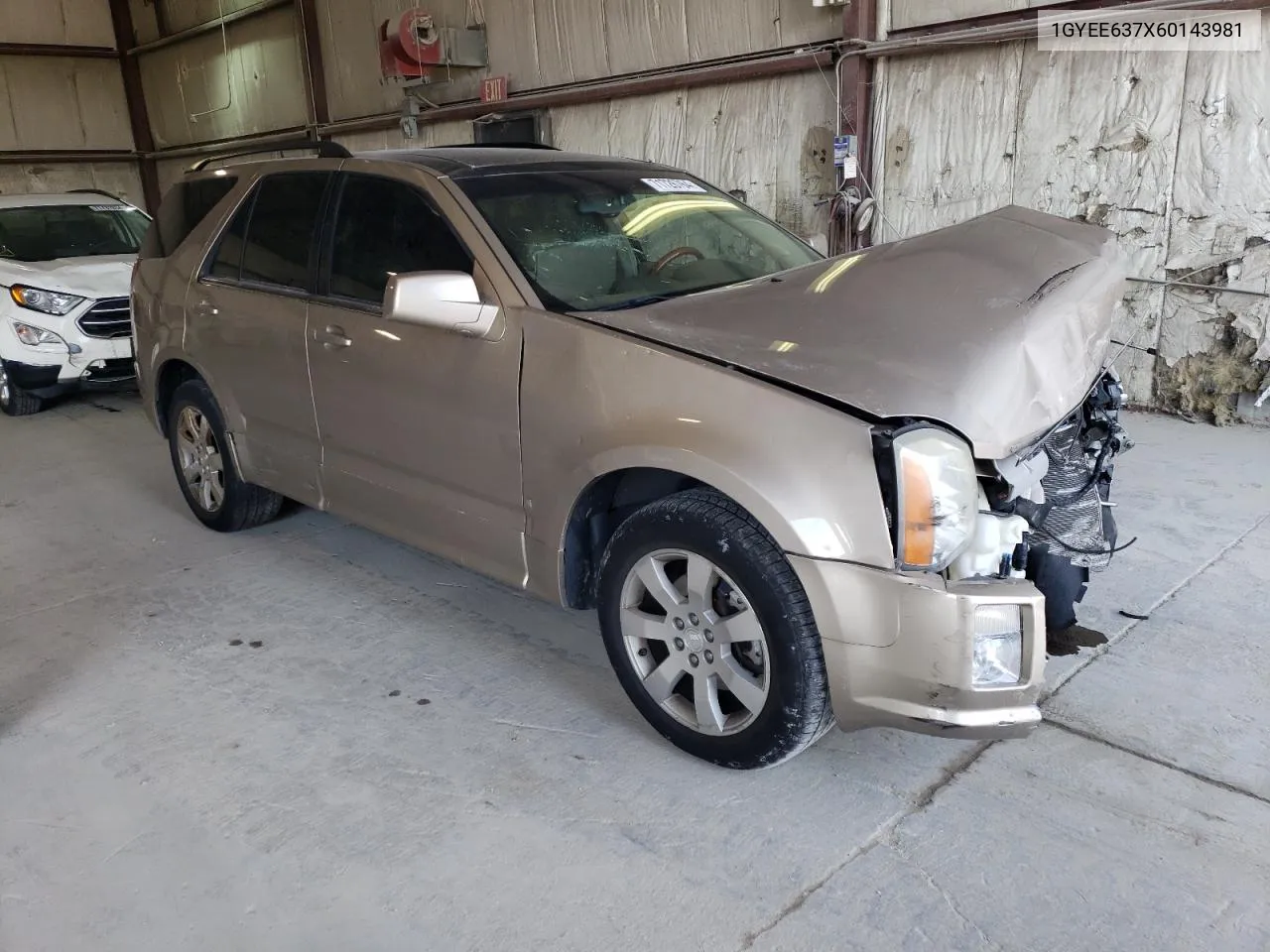 2006 Cadillac Srx VIN: 1GYEE637X60143981 Lot: 71726764