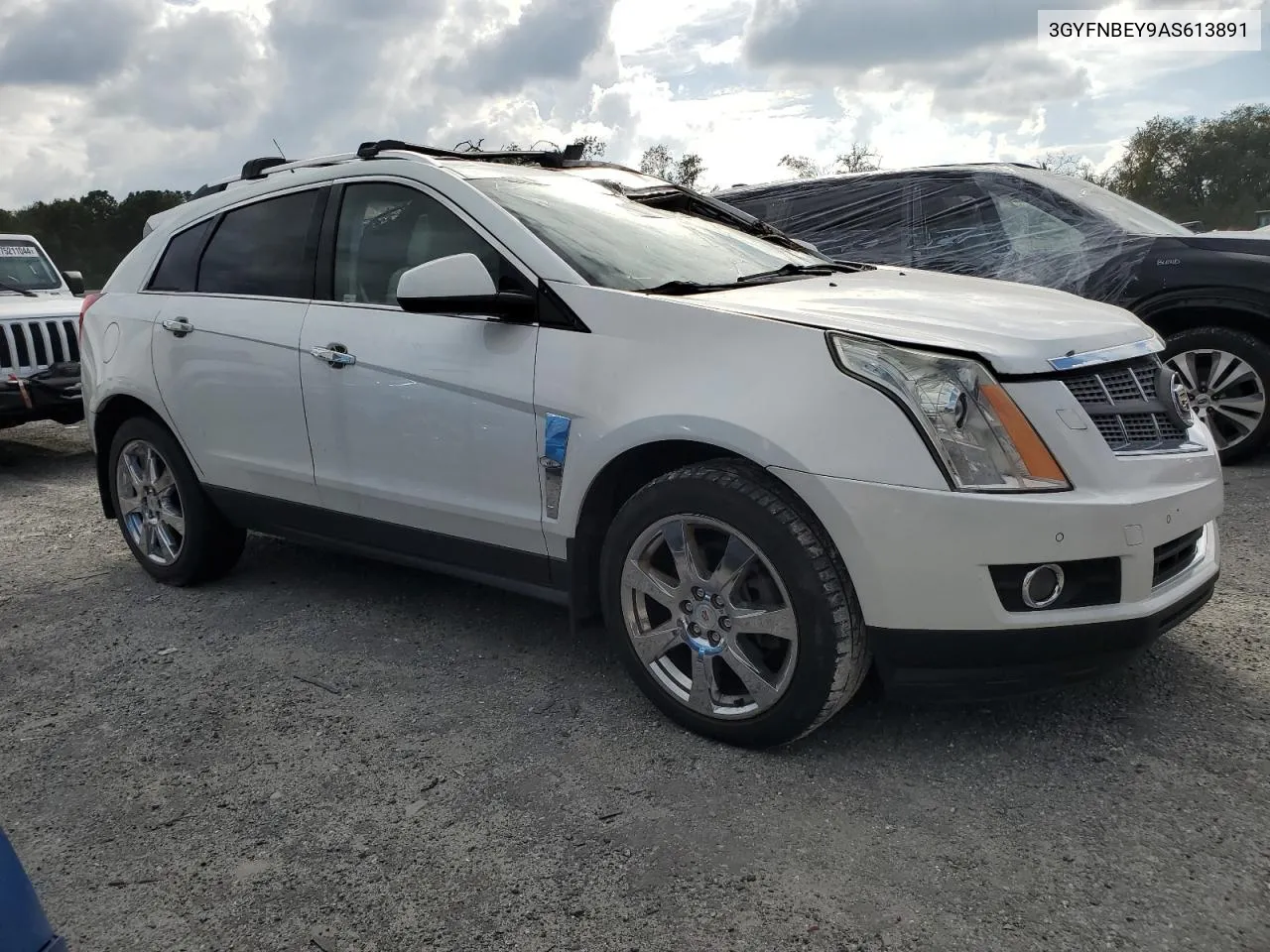 2010 Cadillac Srx Performance Collection VIN: 3GYFNBEY9AS613891 Lot: 74634194