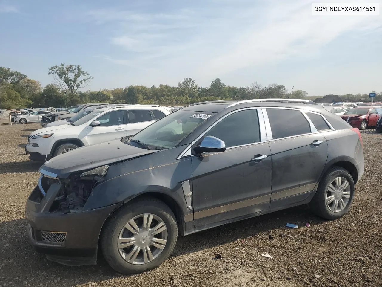 2010 Cadillac Srx Luxury Collection VIN: 3GYFNDEYXAS614561 Lot: 75624784