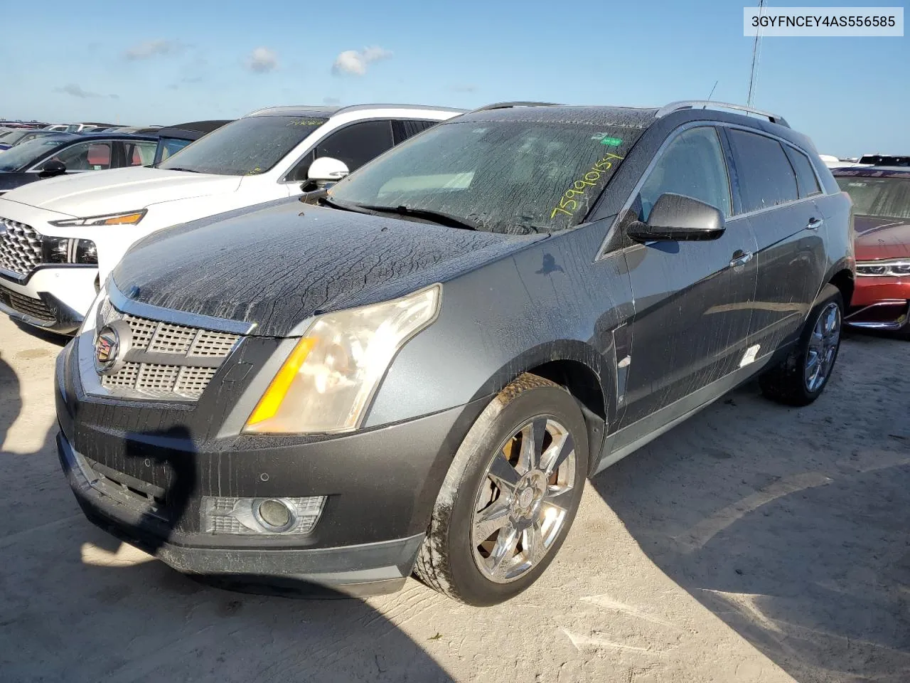 2010 Cadillac Srx Premium Collection VIN: 3GYFNCEY4AS556585 Lot: 75990154