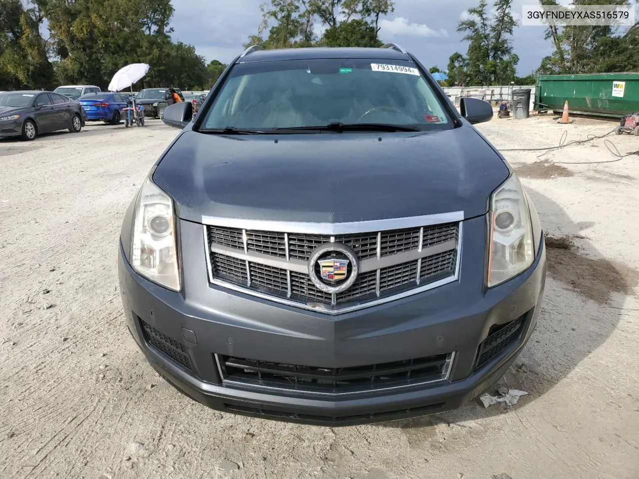 2010 Cadillac Srx Luxury Collection VIN: 3GYFNDEYXAS516579 Lot: 79314994