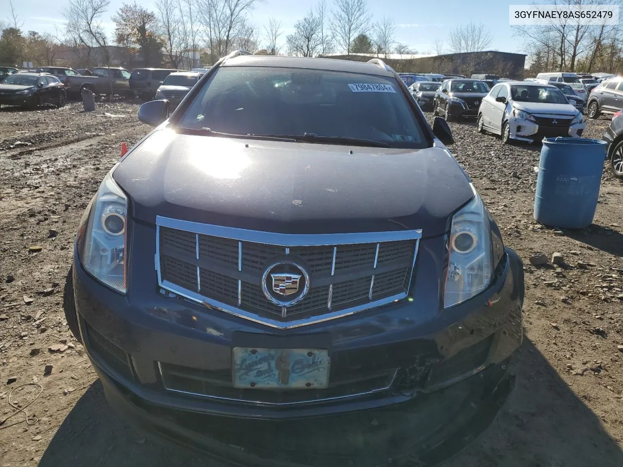 2010 Cadillac Srx Luxury Collection VIN: 3GYFNAEY8AS652479 Lot: 79847804