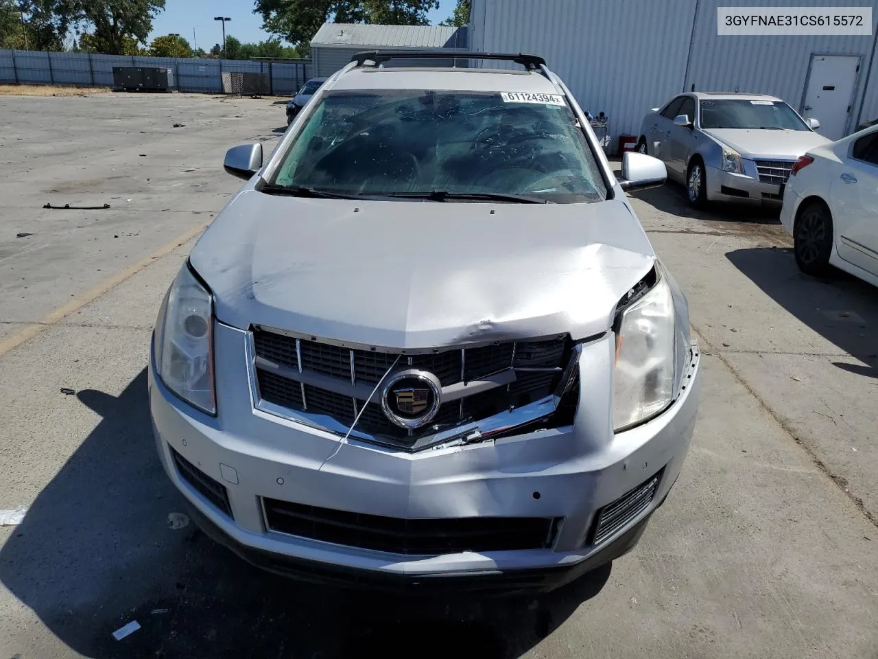 2012 Cadillac Srx Luxury Collection VIN: 3GYFNAE31CS615572 Lot: 61124394