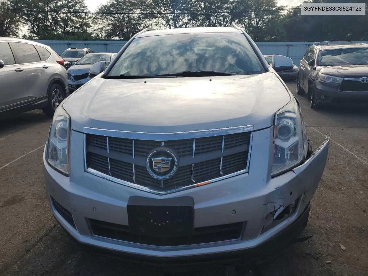 2012 Cadillac Srx Luxury Collection VIN: 3GYFNDE38CS524123 Lot: 69503234