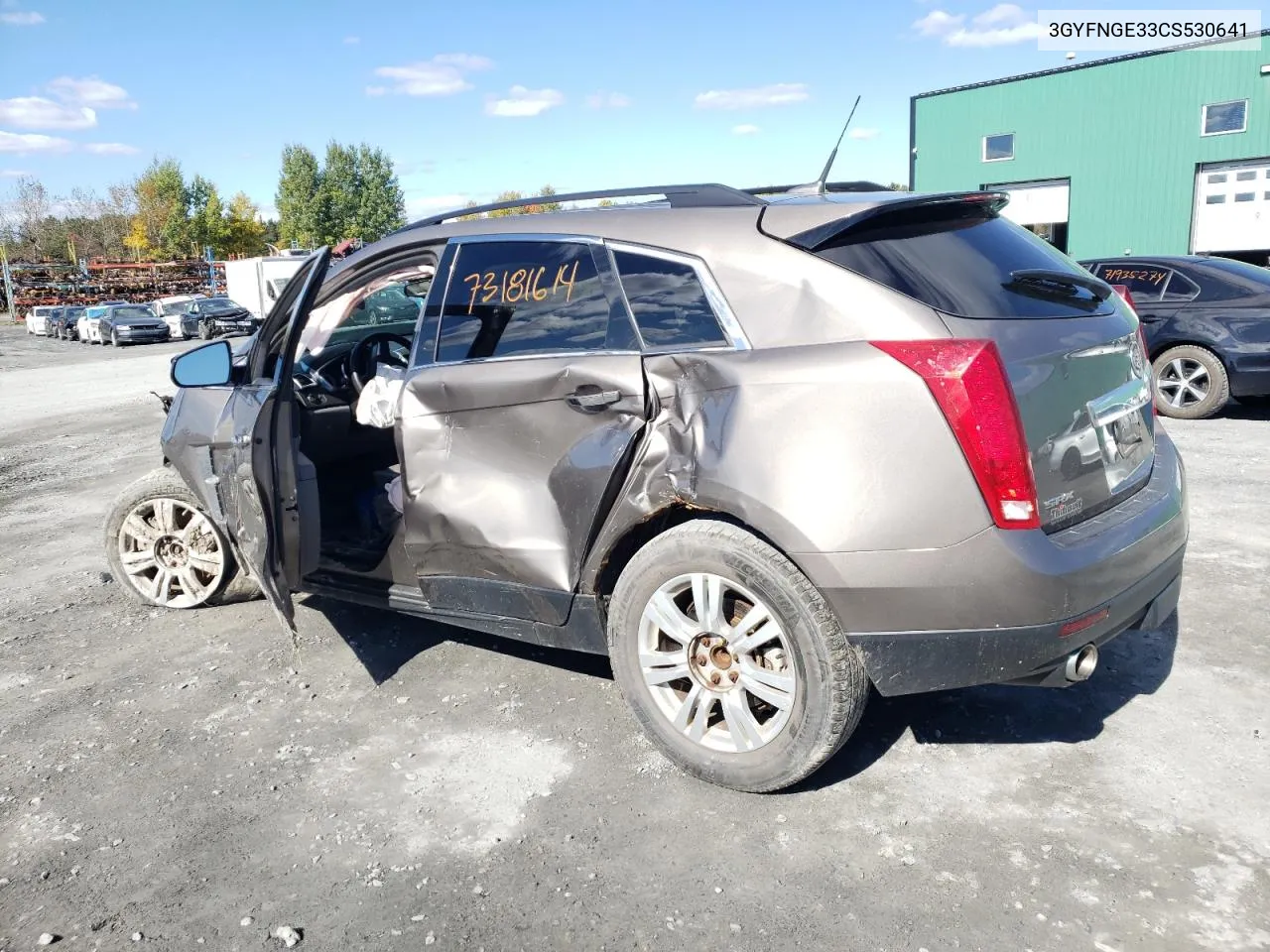 2012 Cadillac Srx VIN: 3GYFNGE33CS530641 Lot: 73181614